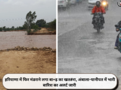हरियाणा में फिर मंडराने लगा बा+ढ़ का खत#रा, अंबाला-पानीपत में भारी बारिश का अलर्ट जारी
