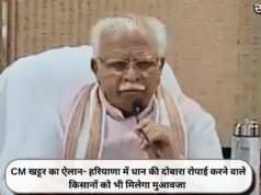 CM खट्टर का ऐलान- हरियाणा में धान की दोबारा रोपाई करने वाले किसानों को भी मिलेगा मुआवजा
