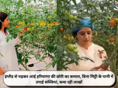 इंग्लैंड से पढ़कर आई हरियाणा की छोरी का कमाल, बिना मिट्टी के पानी में उगाई सब्जियां, कमा रही लाखों