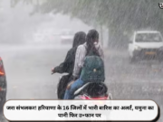 जरा संभलकर! हरियाणा के 16 जिलों में भारी बारिश का अलर्ट, यमुना का पानी फिर उ+फान पर