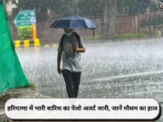 हरियाणा में भारी बारिश का येलो अलर्ट जारी, जानें मौसम का हाल