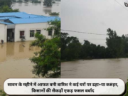 सावन के महीने में आफत बनी बारिश ने कई घरों पर ढहा+या क#हर, किसानों की सैकड़ों एकड़ फसल बर्बाद
