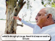 ग्रामीणों के बीच पहुंचे पूर्व CM हुड्डा, किसानों से दर्द साझा कर फसलों का जाना हाल