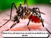 हरियाणा में बा+ढ़ और बरसात के बाद अब सताने लगा इस बीमारी का डर, पढ़ें पूरी खबर