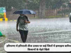 हरियाणा में हरियाली तीज उत्सव पर कई जिलों में झमाझम बारिश, किसानों के चेहरे खिले