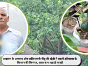 ताइवान के अमरूद और पाकिस्तानी नींबू की खेती ने बदली हरियाणा के किसान की किस्मत, आज कमा रहा है लाखों