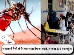 अंबाला में तेजी से पैर पसार रहा डेंगू का कहर, आंकड़ा 135 तक पहुंचा