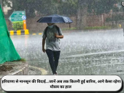 हरियाणा से मानसून की विदाई…जानें अब तक कितनी हुई बारिश, आगे कैसा रहेगा मौसम का हाल