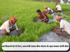 अब किसानों को नो टेंशन, प्रधानमंत्री फसल बीमा योजना के तहत सरकार करेगी बीमा