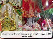 अंबाला में जन्माष्टमी पर लगी रौनक, लड्डू गोपाल और झूले बने श्रद्धालुओं के लिए आकर्षण का केंद्र