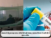 अंबाला में डेंगू का बढ़ा ग्राफ: मरीजों की बढ़ी संख्या, स्वास्थ्य विभाग ने जारी की ये खास अपील