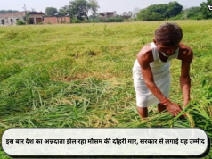 इस बार देश का अन्नदाता झेल रहा मौसम की दोहरी मार, सरकार से लगाई यह उम्मीद