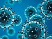 हरियाणा में H9N2 वायरस को लेकर अलर्ट,सांस की बीमारी और निमोनिया मरीजों की हो रही मॉनिटरिंग