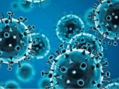 हरियाणा में H9N2 वायरस को लेकर अलर्ट,सांस की बीमारी और निमोनिया मरीजों की हो रही मॉनिटरिंग
