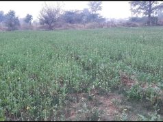 हरियाणा में बदला मौसम, बढ़ी सर्दी,अगले दो दिनों में बारिश की जताई गई हैं संभावना