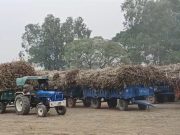 ऑनलाइन टोकन सिस्टम का सॉफ्टवेयर ट्रायल सफल,14 दिसंबर से ऑनलाइन कटेगा किसानों का टोकन