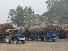 ऑनलाइन टोकन सिस्टम का सॉफ्टवेयर ट्रायल सफल,14 दिसंबर से ऑनलाइन कटेगा किसानों का टोकन