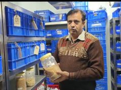 यहां दस हजार साल पहले की गेंहू प्रजाति, हड़प्पा काल के बीज भी संरक्षित…जानिए दिलचस्प इतिहास
