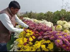 शौक शौक में घर की छत को बना डाला गार्डन… अब सैकड़ो तरह के फूल बढ़ा रहे हैं शोभा