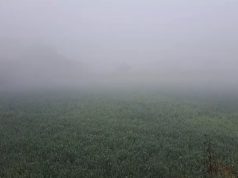 फरीदाबाद में कोहरे के साथ मौसम हुआ सर्द… ठंड में ठिठुरे लोग