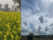 बारिश पड़ने से किसानों के चेहरे खिले , फसलों के लिए होगी फायदेमंद