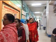 जींद में दी स्वाइन फ्लू ने दस्तक..स्वास्थ्य विभाग ने की लोगों से अपील, लक्षण दिखाई दें तो करवाएं जांच