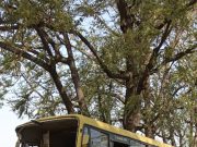 महेंद्रगढ़ में स्कूल बस दुर्घट*ना में 6 छात्रों की मौ*त के बाद प्रिंसिपल समेत 3 गिरफ्तार