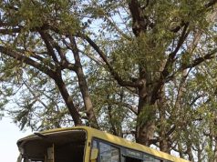 महेंद्रगढ़ में स्कूल बस दुर्घट*ना में 6 छात्रों की मौ*त के बाद प्रिंसिपल समेत 3 गिरफ्तार