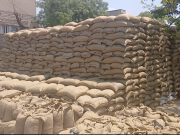 गेहूं का उठान न होने के चलते आढ़तियों ने किया कामकाज बंद… BJP सांसद और विधायक पर उठाए सवाल