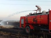 50 एकड़ खेतों में खड़े फाने जल कर हुए राख… लाखों का हुआ नुकसान