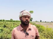 प्रचंड गर्मी के कारण सब्जियों की फसलें भी हो रही है खराब… किसान परेशान