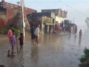 द समर न्यूज़ की टीम ने यमुना क्षेत्र का दौरा कर जानी हकीकत तो सिंचाई विभाग के दावों की खुली पोल