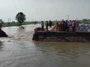 कलायत में नहर टूटी…सैकड़ों एकड़ फसल बर्बाद,पशु चारा भी पानी में डूबा