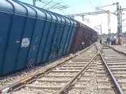 रेवाड़ी रेलमार्ग पर मालगाड़ी के नीचे आया नंदी.. पटरी से नीचे उतरा मालगाड़ी के डिब्बा