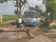 फतेहाबाद से चंडीगढ़ जा रही रोडवेज बस सड़क किनारे पलਟੀ