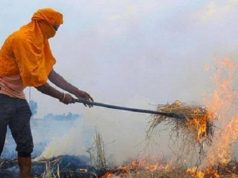 अंबाला में अब तक पराली जलाने के 26 मामले आए सामने.. FIR दर्ज करने के आदेश जारी