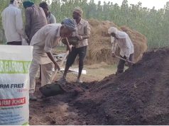 ऑस्ट्रेलियन ब्रिड के केंचुए से तैयार की जा रही खाद.. फसल के लिए फायदेमंद