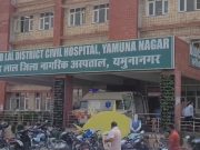 यमुनानगर में डेंगू के बढ़ते मामलों से स्वास्थ्य विभाग में मचा हड़कंप