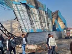 यमुनानगर के जोड़िया नाके के समीप प्लाईवुड फैक्ट्री में लगी आ.ग… कड़ी मशकत के बाद पाया काबु