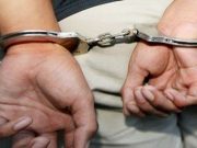 सब्जियों की आड में अफीम की खेती कर रहा था युवक… पुलिस ने आरोपी को किया गिरफ्तार
