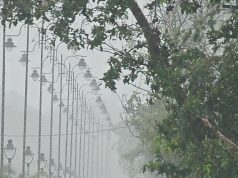 अंबाला में बदला मौसम का मिजाज..कोहरे से वाहनों की हुई रफ्तार धीमी