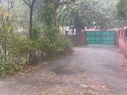 जिला सिरसा में झमाझम बारिश… फसलों को फायदा, किसानो को राहत