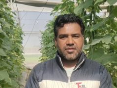 खीरे की खेती ने बदली किसान की किस्मत…विदेश ना जाकर अपने देश में नेट हाउस की खेती करने की दी सलाह