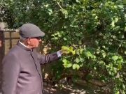 तापमान में ठंडक व पाला पड़ने से सब्जियों में नुकसान संभावित..कृषि वैज्ञानिक ने दी ये सलाह
