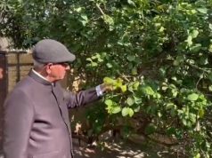 तापमान में ठंडक व पाला पड़ने से सब्जियों में नुकसान संभावित..कृषि वैज्ञानिक ने दी ये सलाह