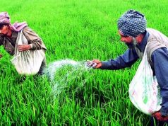 कृषि योग्य यूरिया को औद्योगिक इकाइयों में इस्तेमाल करने को पर कृषि विभाग ने की FIR