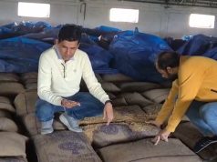 गेहूं के बैग्स पर पानी का छिड़काव करके बढ़ाया जा रहा था वजन…अधिकारी पहुंचे मौके पर
