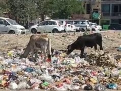 जगह-जगह कूड़े के ढेर बने बाधा..स्वच्छता सर्वेक्षण में फरीदाबाद कैसे लाएगा अच्छे अंक