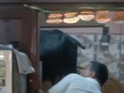 घर में घुसा सांड, बेड पर चढ़कर मचाया उत्पात..डेढ़ घंटे की मशक्कत के बाद निकाला गया