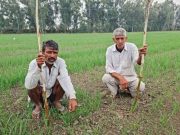 खेतों में लगी आग से किसानों को नुकसान, सरकार देगी राहत और मुआवजा